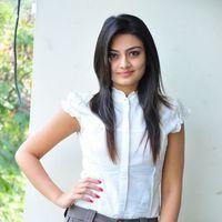 Nikita Narayan at It's My Love Story Movie Preemeet - Pictures | Picture 116668